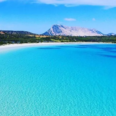 別荘 Sardinian Holiday オルビア イタリア